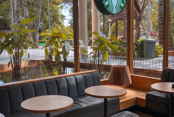 starbucks