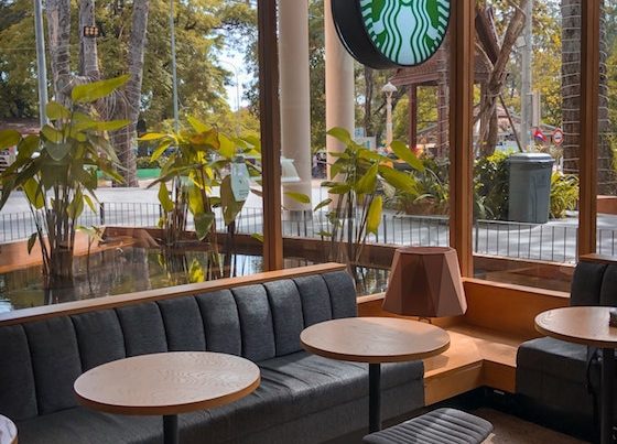 starbucks