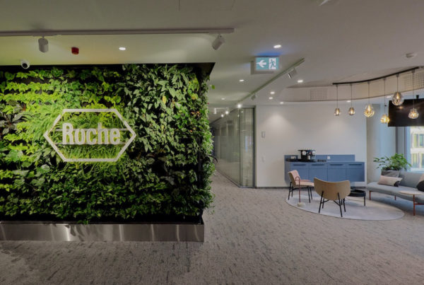 portfolife, partner bank, PNGN, sales alapú webfejlesztés, roche