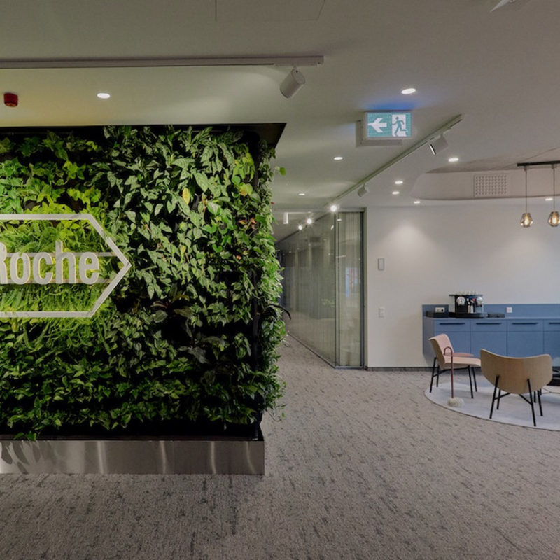 portfolife, partner bank, PNGN, sales alapú webfejlesztés, roche