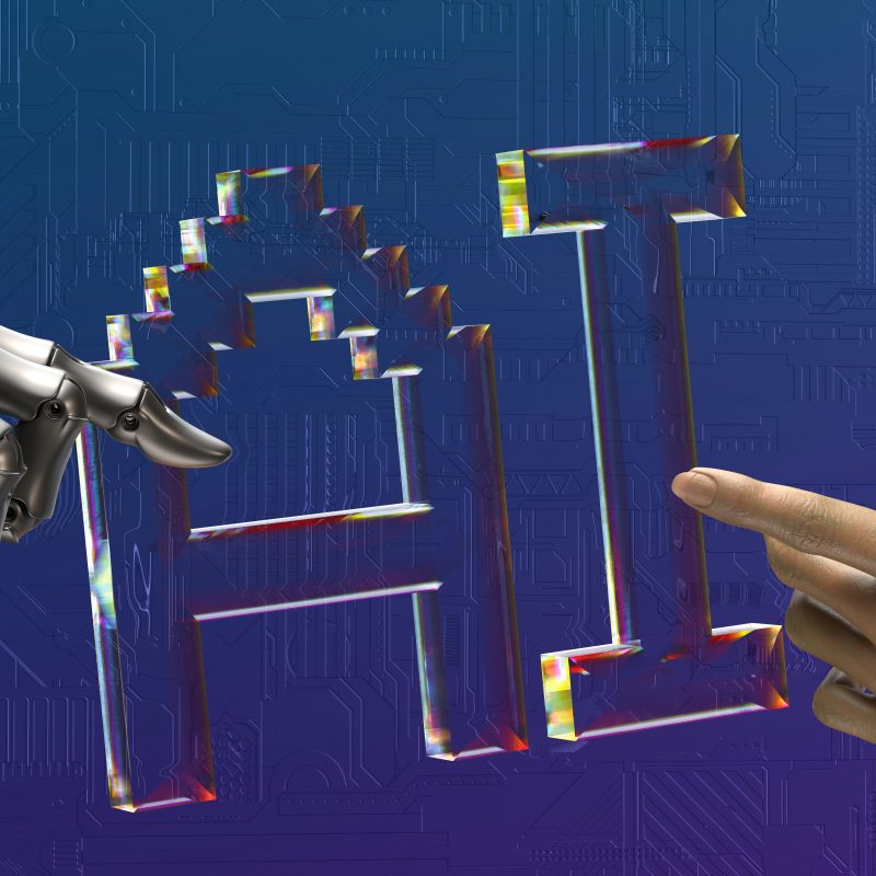 partner bank, portfolife, ai