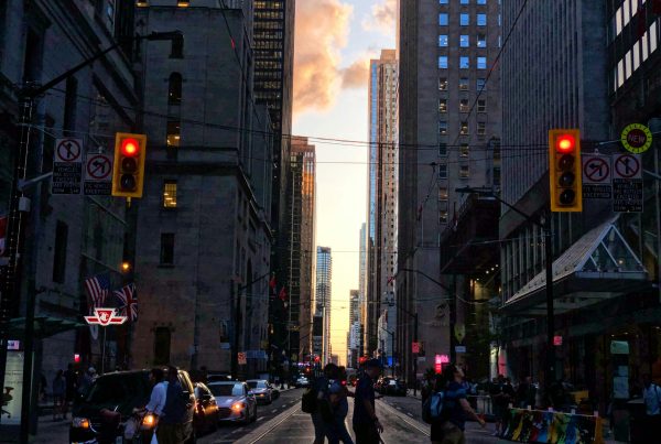 partner bank, portfolife, demográfia