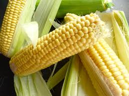 Kukorica – szeptember